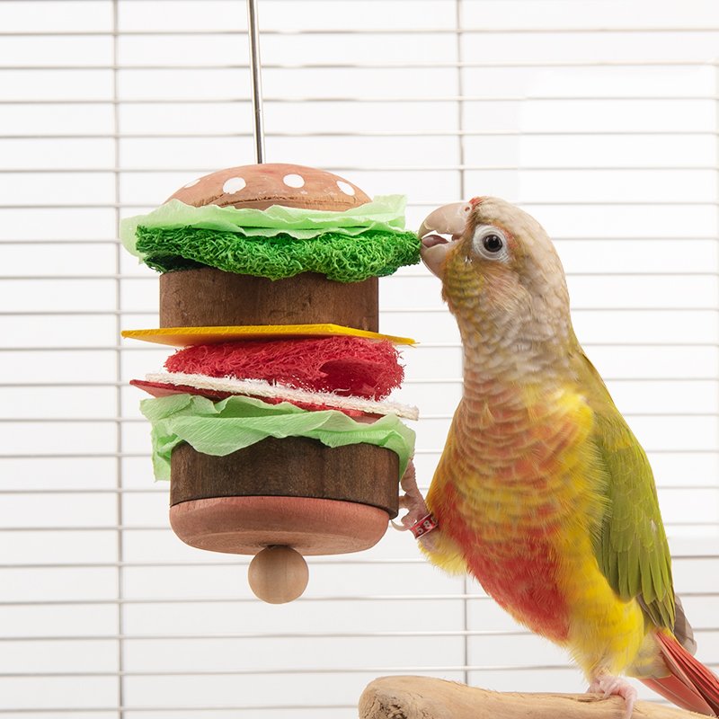Bird Toys burger fruitfork