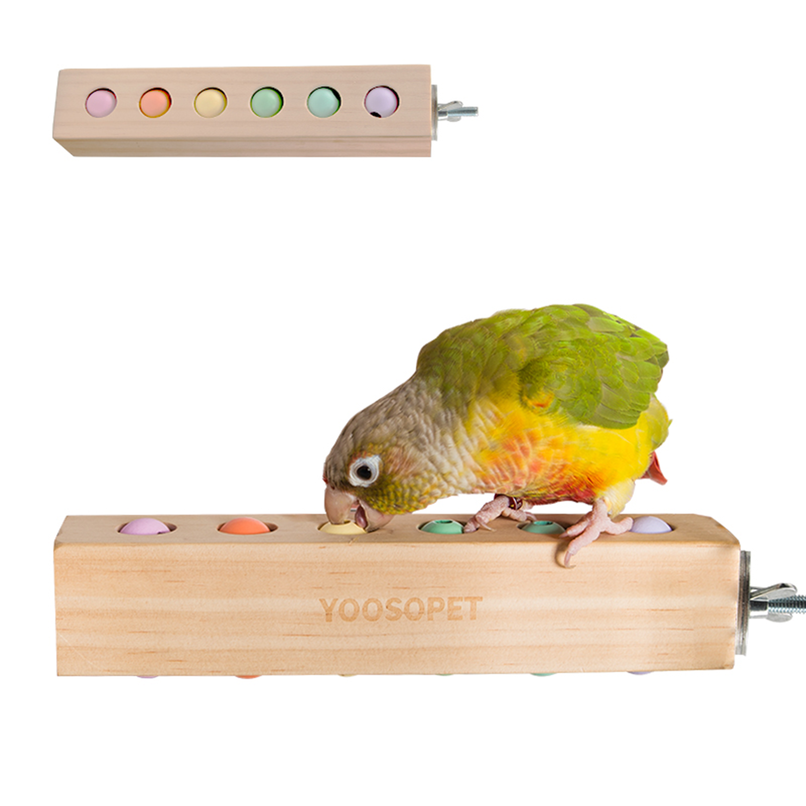 Bird Toys spinning ball