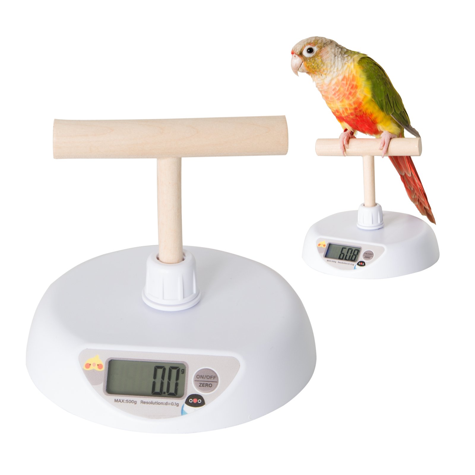 Bird Supplies pet scale for birds
