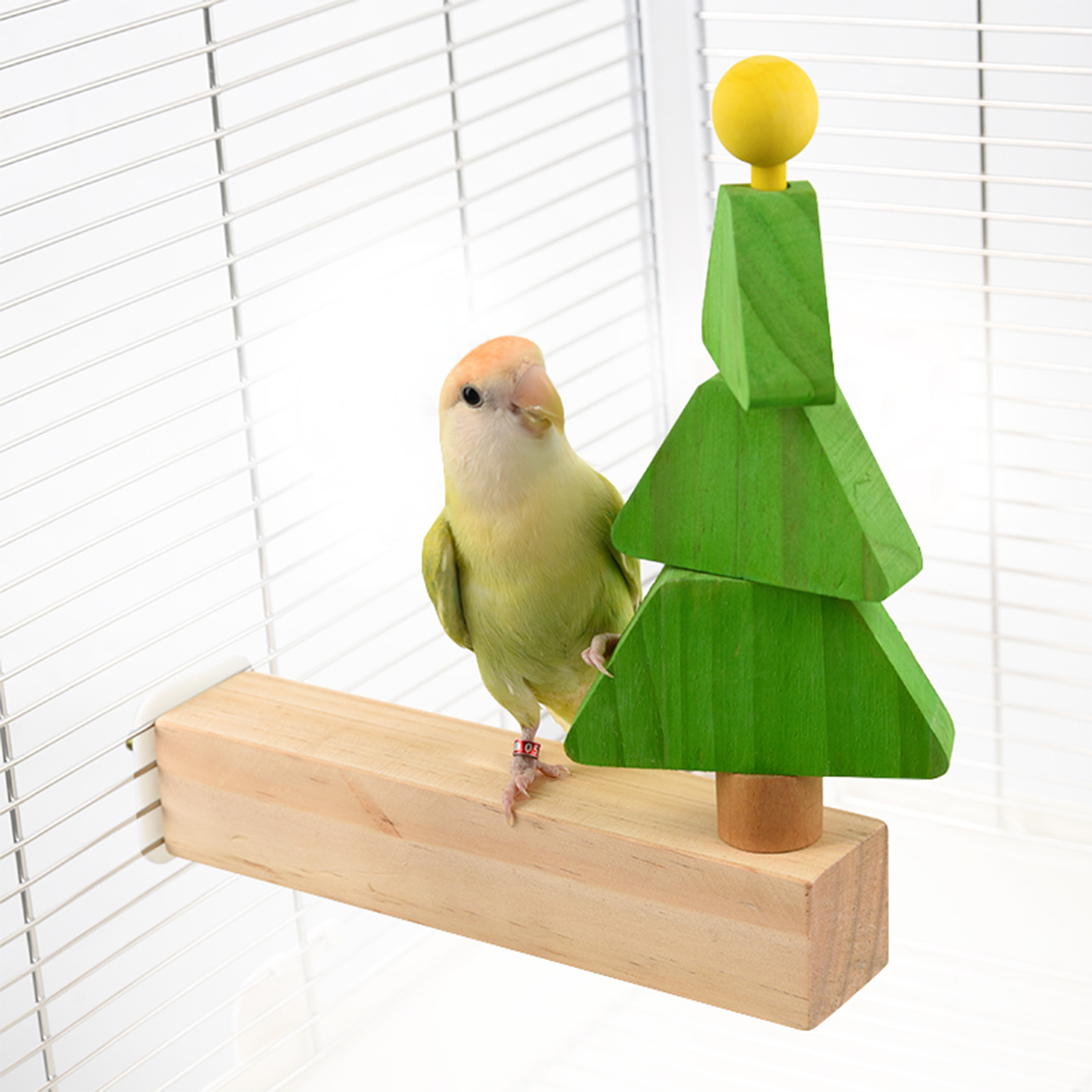 Bird Toys auto draft