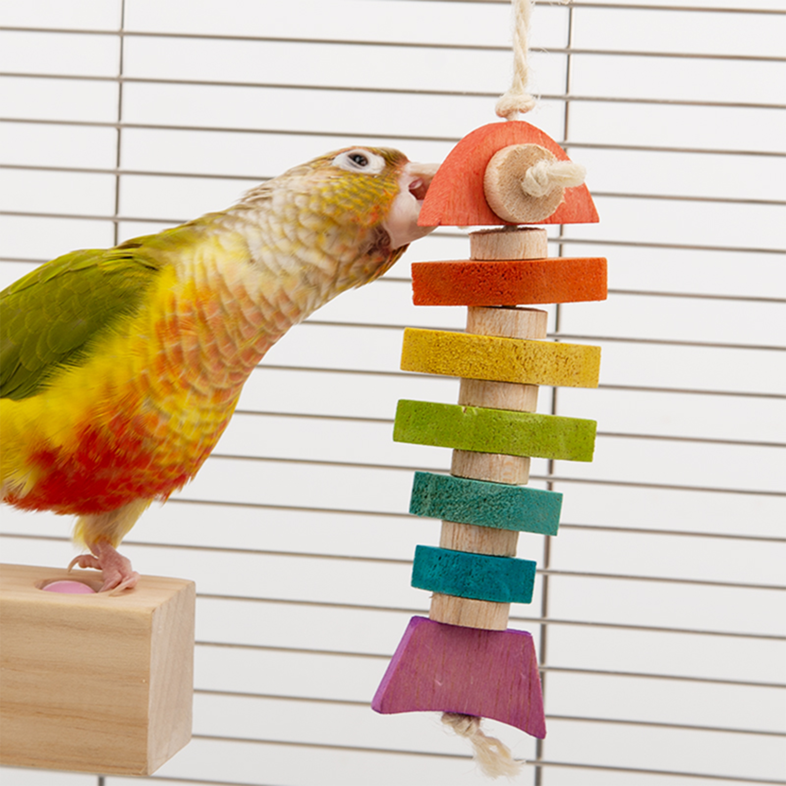 Bird Toys colorful fish