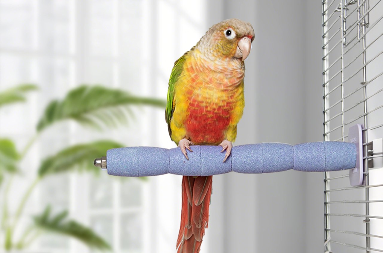 37e41e3d00eb96624c06ae2af281a3e1