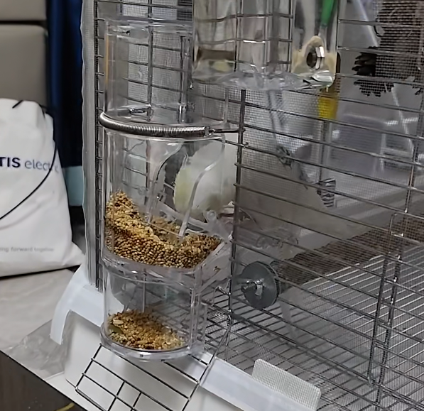 Bird Supplies 77330b1522ce974ab9fd00e43759d508