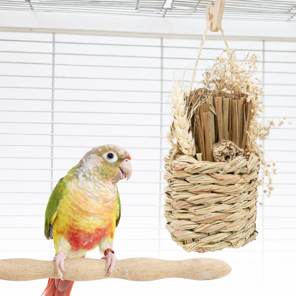 chatgpt image 2026年1月19日 14 38 27