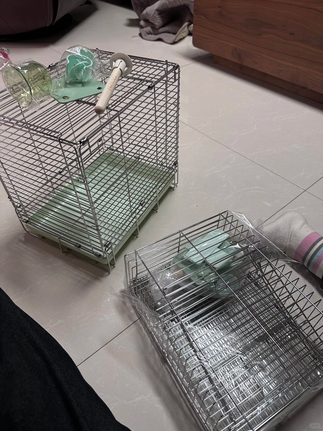 Bird Cages 不锈钢外出笼鹦鹉笼子到啦 2 老鼠一只 来自小红书网页版 1