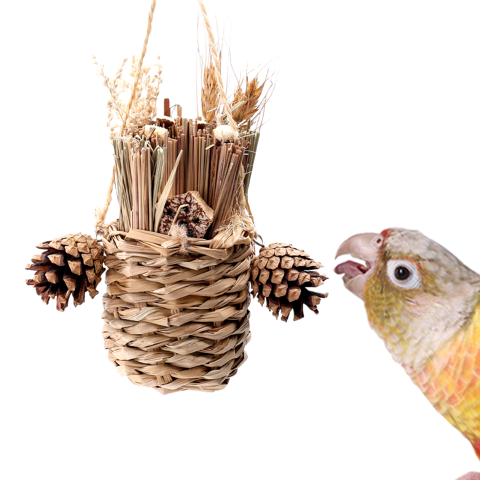 Bird Toys pinecone woven basket