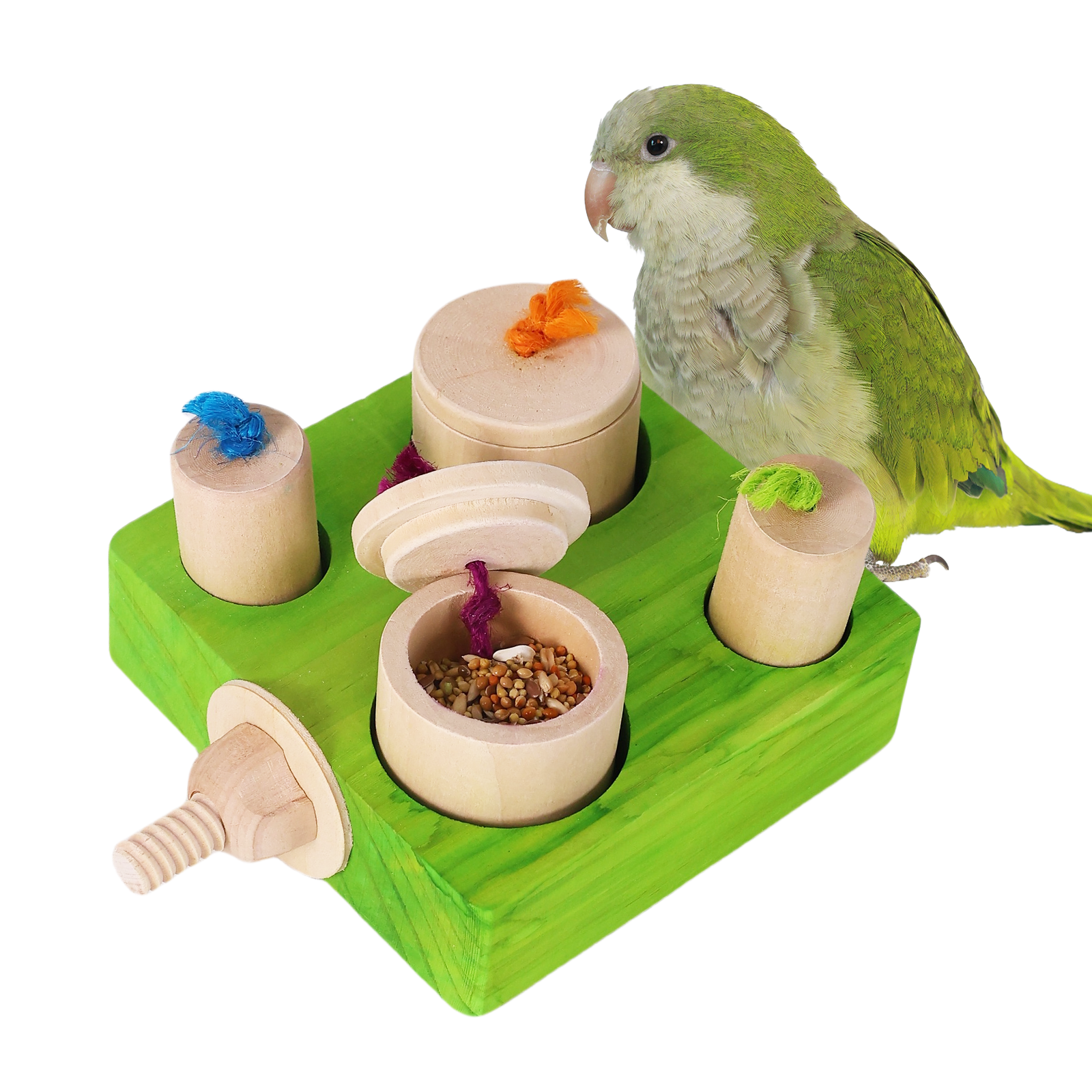 Bird Toys birdie puzzle feeder