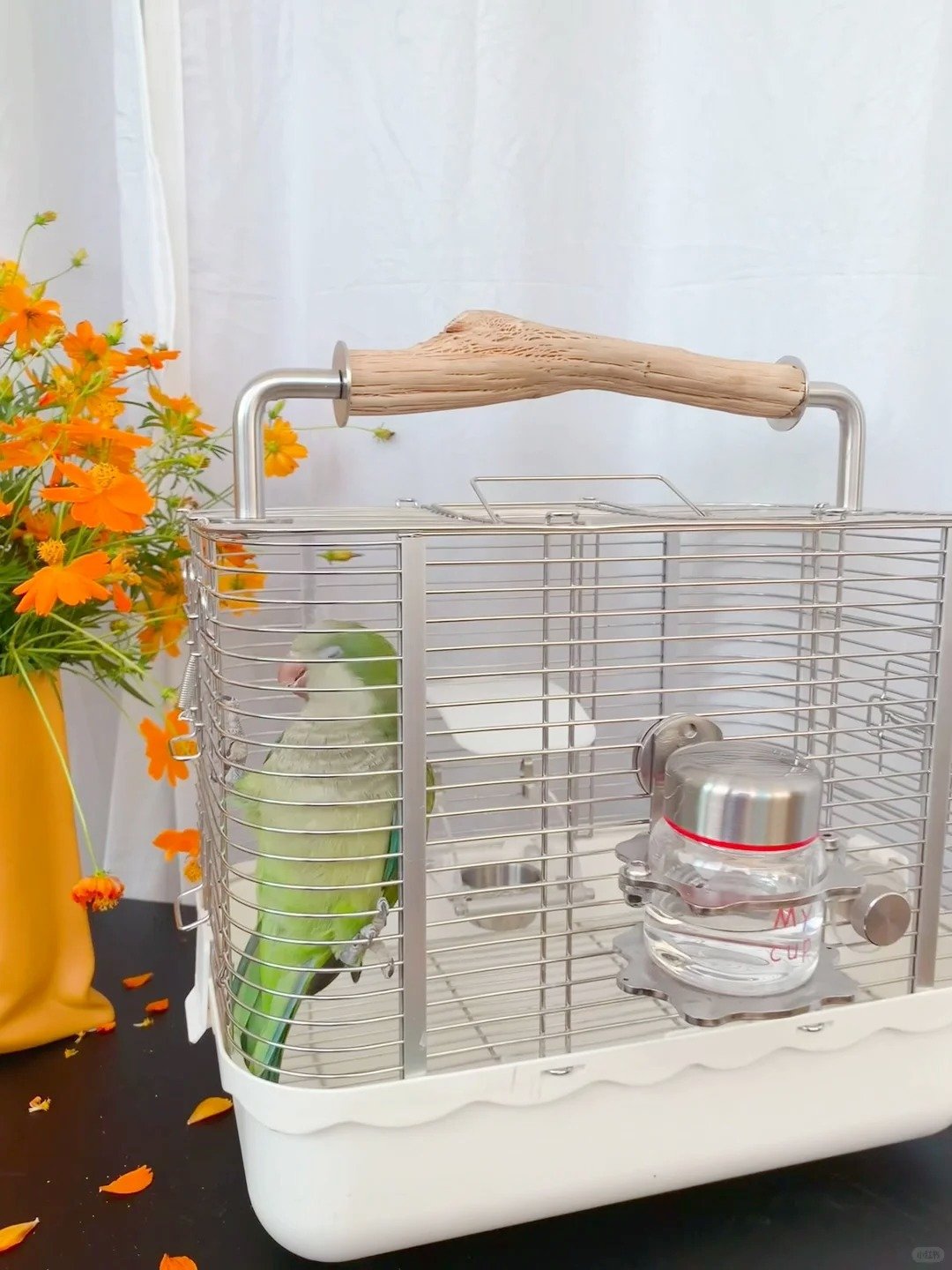 Bird Cages 优嗖户外笼 颜值太能打了吧👍🏻 1 Yuki 来自小红书网页版