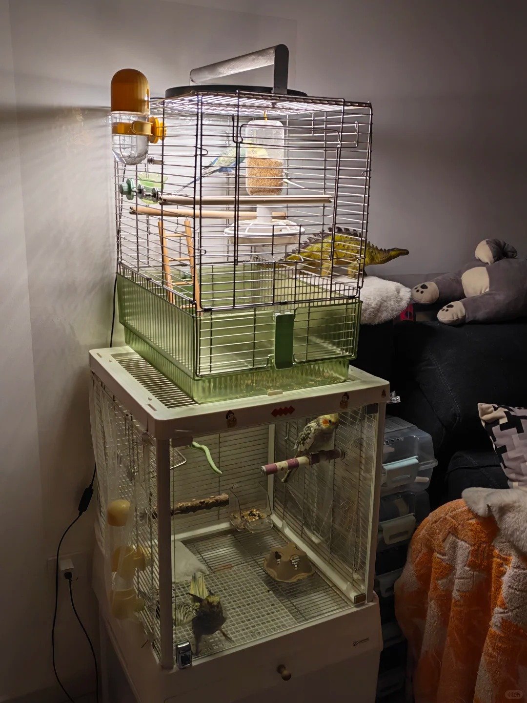 Bird Cages 优嗖羽逸W042 2 太阳光 来自小红书网页版