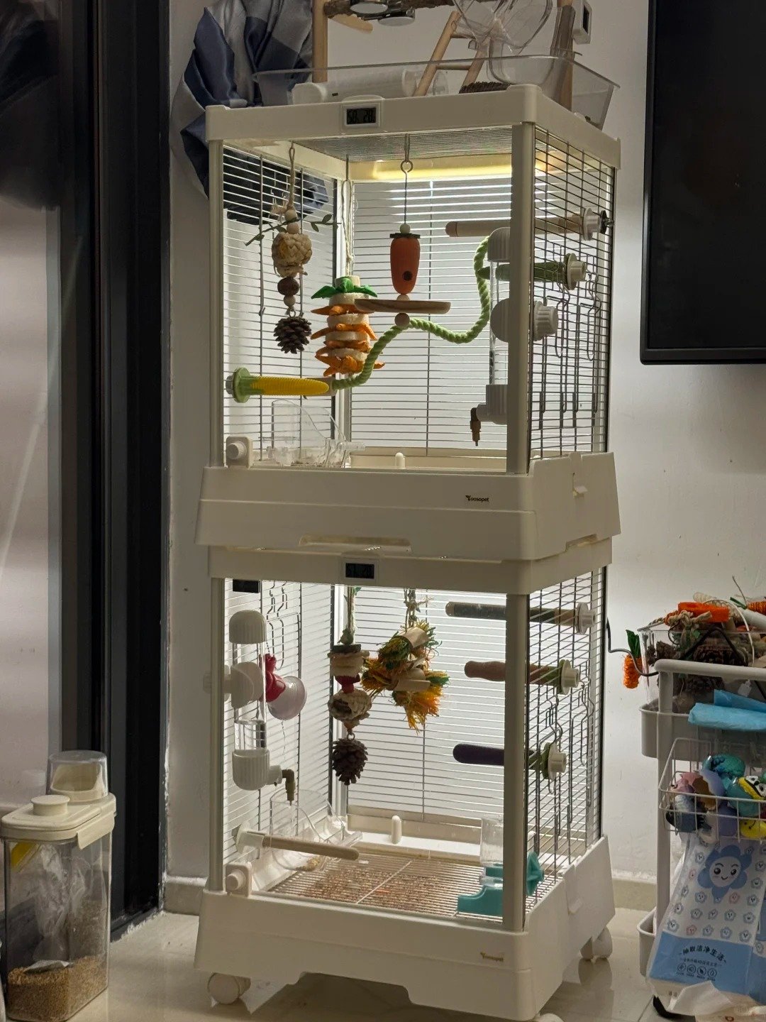 Bird Cages 🦜也是住上双层大别墅了 1 芋圆年糕抹茶冰 来自小红书网页版